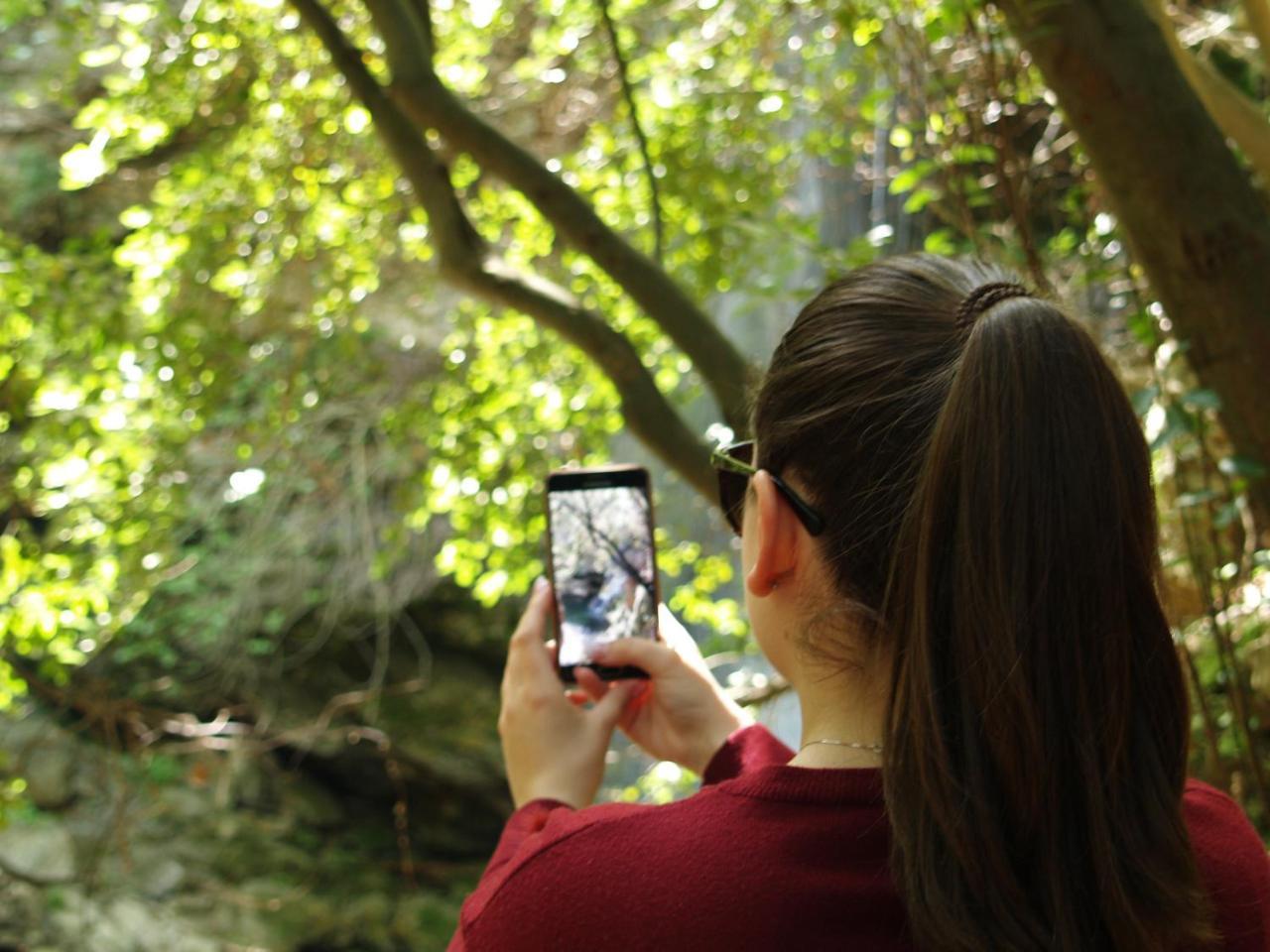 Donquihotel Chalet Karvounades Dış mekan fotoğraf