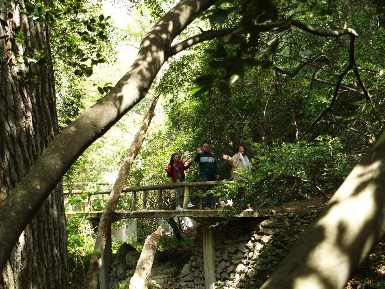 Donquihotel Chalet Karvounades Dış mekan fotoğraf